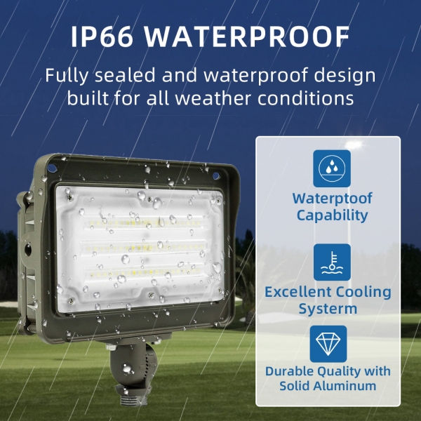 LED Flood Light