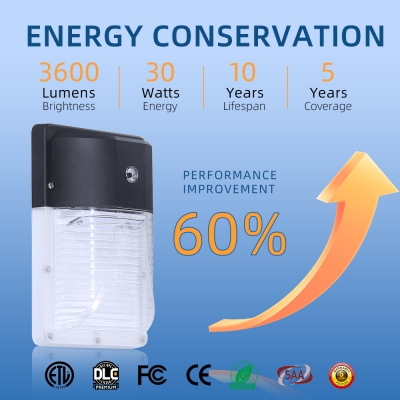 WPA 12-13W LED Mini Wall Pack Light