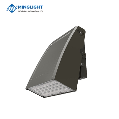 WPD2 Series LED Wall Pack Light