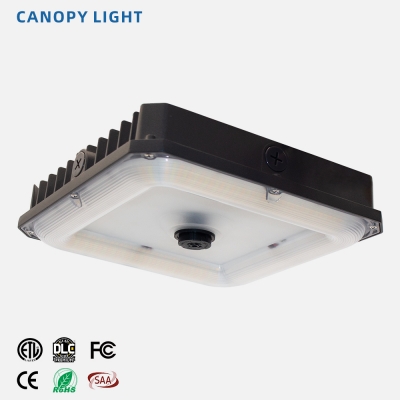 LED  Canopy Light/ Outdoor Celling Light/Gas Station LIght